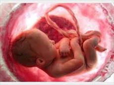 پاورپوینت افزایش هوش جنین