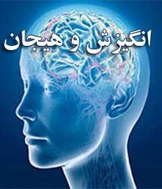 کتاب مجموعه روانشناسی ( روانشناسی فیزیولوژیک و انگیزش و هیجان )